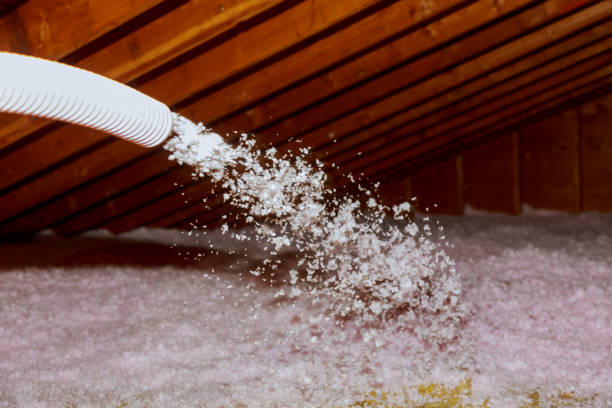 Best Wall Insulation Contractor  in Sanborn, NY