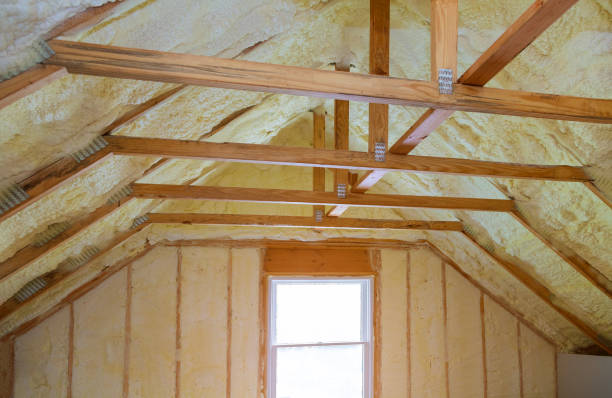 Best Attic Insulation Installation  in Sanborn, NY