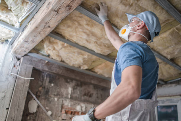 Best Insulation Contractors for Homes  in Sanborn, NY