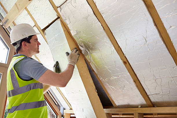 Best Crawl Space Insulation  in Sanborn, NY