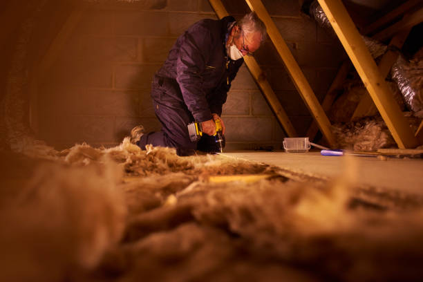 Best Crawl Space Insulation  in Sanborn, NY